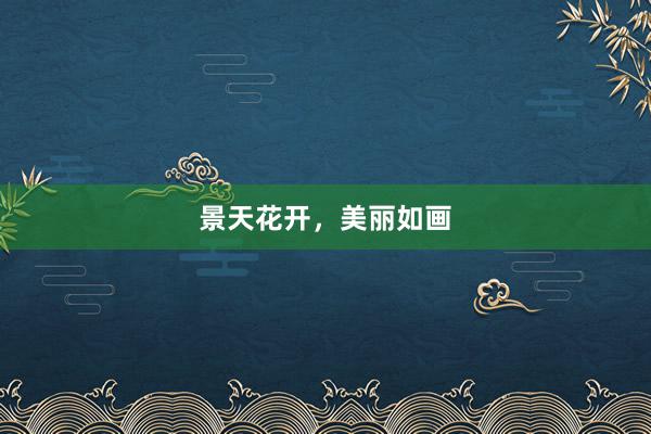 景天花开，美丽如画