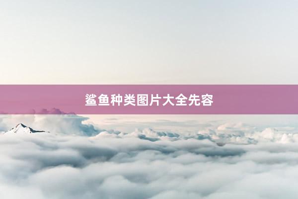 鲨鱼种类图片大全先容