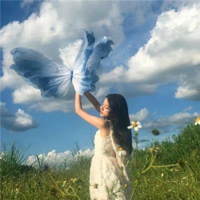机智的公主殿下 封面